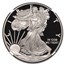 2021-W Proof American Silver Eagle (Type 2) PF-70 NGC