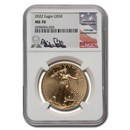 2022 1 oz American Gold Eagle MS-70 NGC (Castle)