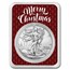 2022 1 oz American Silver Eagle - w/Elegant Merry Christmas Card