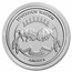 2022 1 oz Silver $1 Sioux Indian Chief Guardian BU