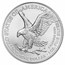 2022 1 oz Silver Eagle - Limited Edition Silver Degenerates TEP