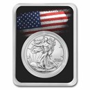 2022 1 oz Silver Eagle - w/American Flag, Black Card, In TEP