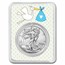 2022 1 oz Silver Eagle - w/"It's A Boy", Stork Card, In TEP