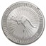 2022 Australia 1 oz Silver Kangaroo MS-70 NGC (First Release)