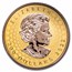 2022 Canada 2 oz Gold $200 Super Incuse Gold Maple Leaf