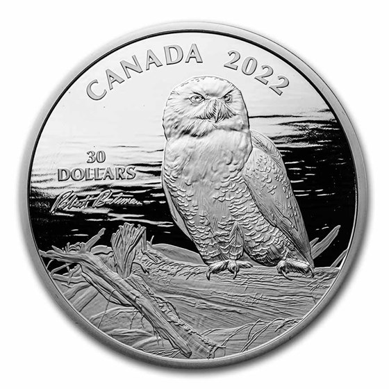 2022 RCM 2 oz Silver $30 Snowy Owl on Driftwood