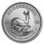 2022 S. Africa 1 oz Silver Krugerrand (25-Coin MintDirect® Tube)