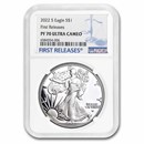 2022-S Proof Silver American Eagle PF-70 NGC (First Releases)
