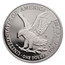 2022-W 1 oz Proof Silver American Eagle PR-70 PCGS