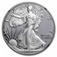 2022-W 1 oz Proof Silver Eagle PF-70 NGC (FDI, Gaudioso)