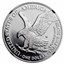 2022-W 1 oz Proof Silver Eagle PF-70 NGC (FDI, Ryder)