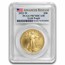 2022-W 4-Coin Proof Gold Eagle Set PR-70 PCGS (Advanced Release)