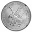 2022-(W) American Silver Eagle MS-70 NGC (ER, Retro Black Core)