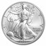 2022-W Burnished Silver Eagle SP-70 PCGS