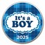 2023 1 oz Silver Colorized Round - APMEX (It's A Boy, Plaid)