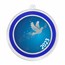 2023 1 oz Silver Colorized Round - Dove Snowflakes