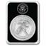 2023 1 oz Silver Eagle - Limited Edition Silver Degenerates TEP