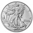 2023 1 oz Silver Eagle - w/"It's A Girl", Pink Card, In TEP