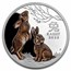 2023 AUS Year of the Rabbit 1 oz Silver Trio (SIII, w/Box & COA)