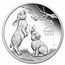 2023 Australia 1 oz Silver Lunar Rabbit Proof (w/Box & COA)