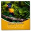 2023 Barbados 1 kilo Silver Color Wildlife: Rainbow Lorikeet