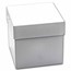 2023 Barbados 3 oz Silver Bright Marble: Planet Earth