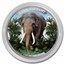 2023 Cambodia 1oz Silver Asian Elephant Colorized BU (in Capsule)