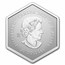 2023 Canada 1 oz Silver $20 Snowflake