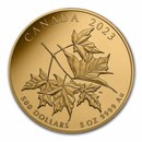 2023 Canada Proof Gold $500 Beloved Maple Leaves