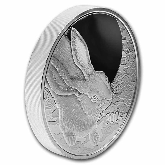 Buy 2023 China 1 kilo Silver Lunar Rabbit Proof Coin | APMEX