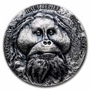 2023 Ivory Coast 5 oz Antique Silver Big Five Asia: Orangutan