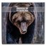 2023 Mongolia 2 oz Silver Black Proof Growing Up: Brown Bear