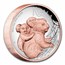 2023-P Australia 5 oz Silver Gilded Koala Proof (High Relief)
