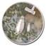 2023 Palau 1 oz Silver $5 Split Views: Hippo UHR PR-70 PCGS (FDI)