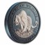 2023 Somalia 1 kilo Silver Black Premium Edition Leopard BU