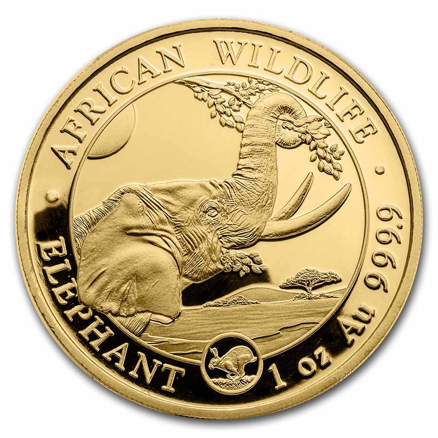2023 Somalia 1 oz Gold Elephant (Rabbit Privy)