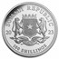 2023 Somalia 4-Coin Silver African Elephant Prestige Proof Set