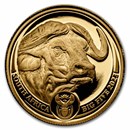 2023 South Africa 1/4 oz Proof Gold Big Five Buffalo