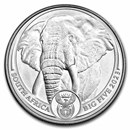 2023 South Africa 1 oz Platinum Big Five Elephant BU