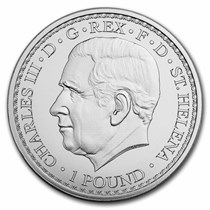 Buy 2023 St. Helena 1 oz Silver £1 Una and the Lion BU | APMEX
