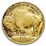 2023-W 1 oz Proof Gold Buffalo PF-70 NGC (Early Releases)