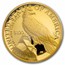 2023-W High Relief American Liberty Gold PR-69 PCGS