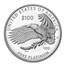 2023-W Proof Platinum Eagle PR-70 PCGS (Advance Release, Black)