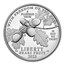 2023-W Proof Platinum Eagle PR-70 PCGS (Advance Release, Black)