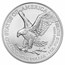 2024 1 oz American Silver Eagle - w/Holiday Ribbon Tree Card