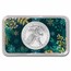 2024 1 oz American Silver Eagle - w/Premium Case, Happy Holidays