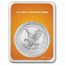 2024 1 oz American Silver Eagle (w/Pumpkin Patch Card, In TEP)