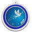 2024 1 oz Silver Colorized Round - Dove Snowflakes