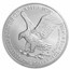 2024 1 oz Silver Eagle - w/Harris Holder, American Flag Design