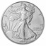 2024 100-Coin Silver Eagle (Star Privy) (MDP + PCGS FS® Mini MB)